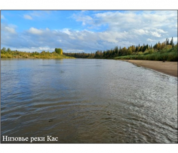 Специалисты Красноярского филиала ГНЦ РФ ФГБНУ «ВНИРО» дали оценку рыбы и рыбной продукции одного из крупных притоков Енисея