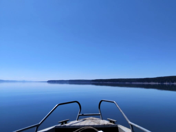 Мониторинговые исследования водных биоресурсов